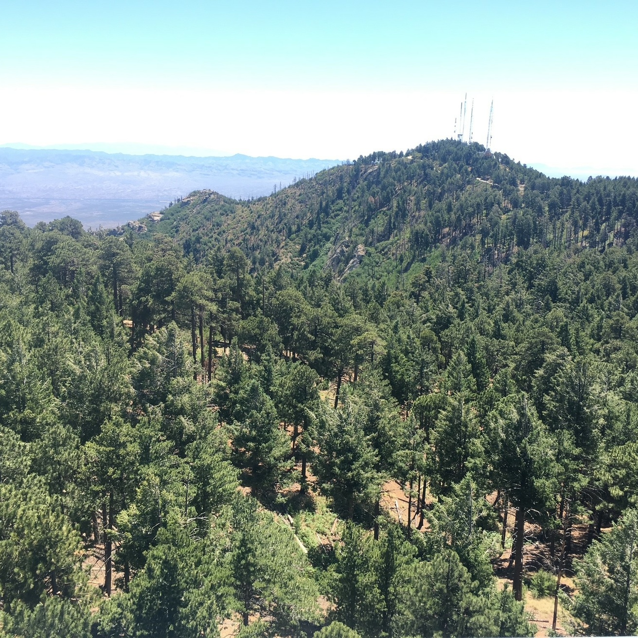 View from Mt Bigelow